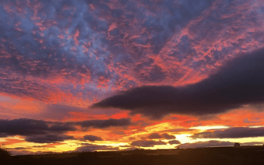 Screen Shot 2019-02-25 at 12.02.52 AM